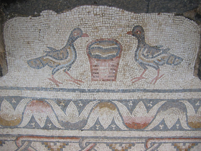 Базилика в Курси. Мозаичная композиция с птицами