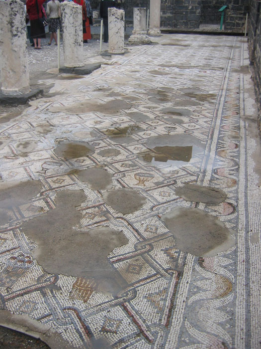 Базилика в Курси. Напольная мозаика